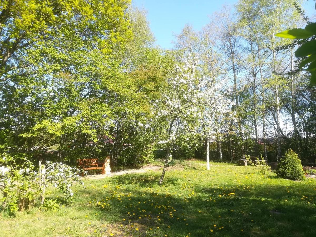 Vegawagen Psyche, Een Sprookje In Coevorden Εξωτερικό φωτογραφία