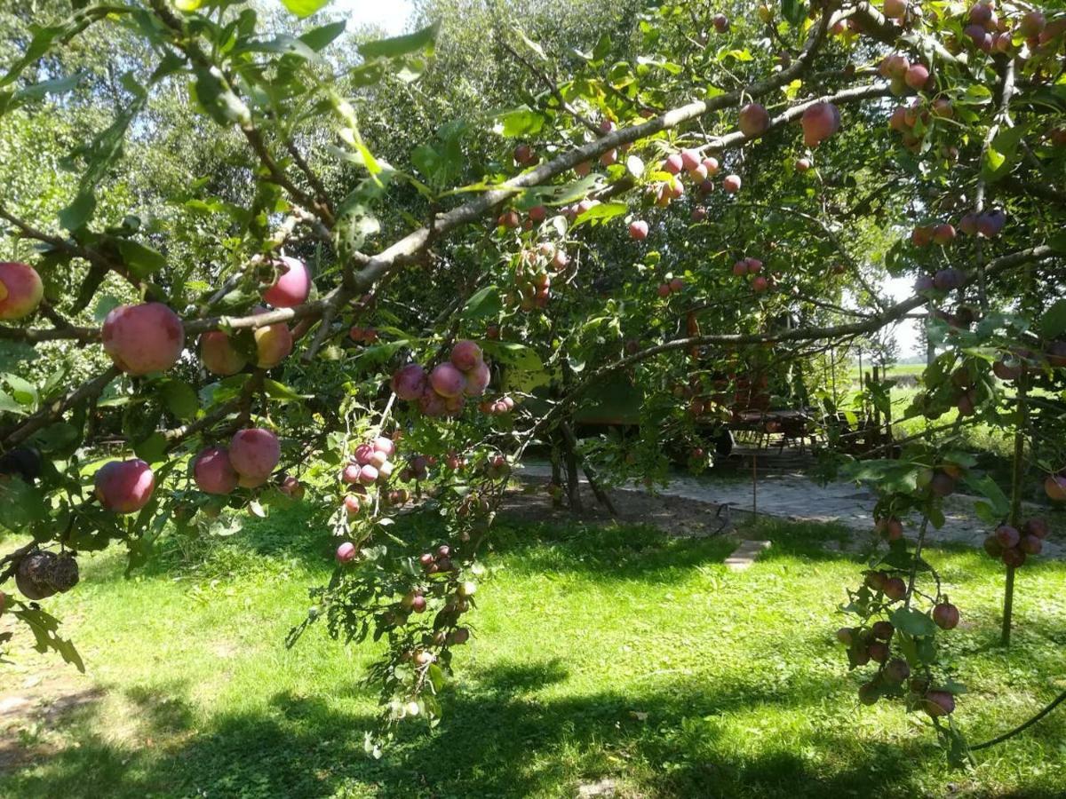 Vegawagen Psyche, Een Sprookje In Coevorden Εξωτερικό φωτογραφία