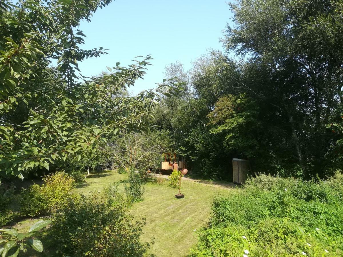 Vegawagen Psyche, Een Sprookje In Coevorden Εξωτερικό φωτογραφία